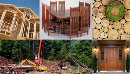 Forest products collage